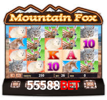 App 55588BET  